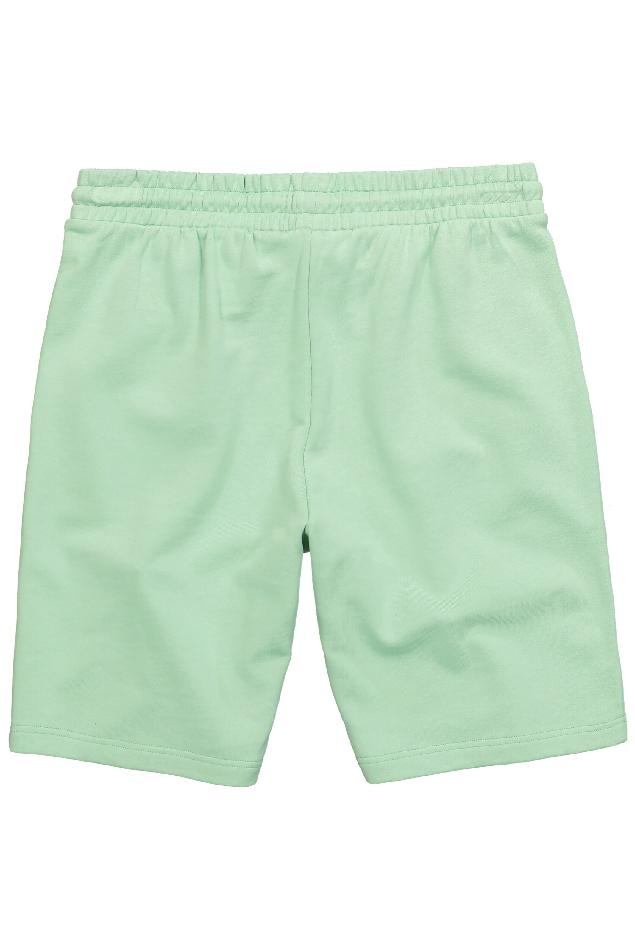 Men Plus Regular Shorts in Grün