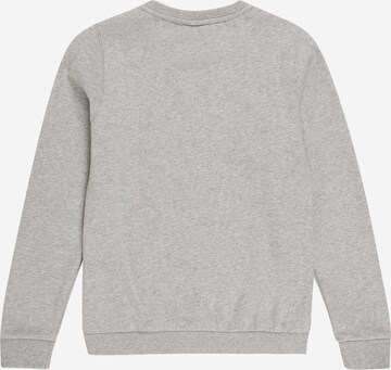 ELLESSE Regular Fit Sweatshirt 'Suprios' in Grau