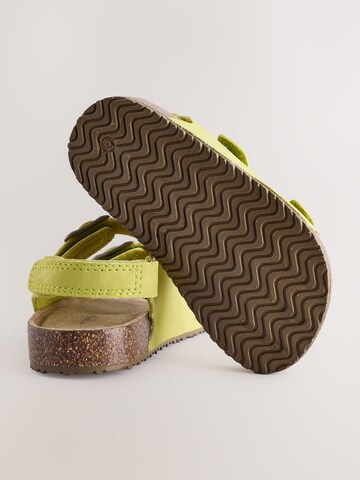 Next Open shoes in Green