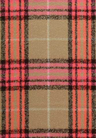 FRAAS Oversized Scarf in Brown