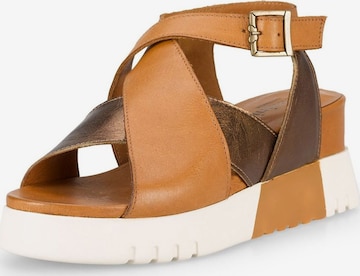 FELMINI Strap Sandals in Brown: front