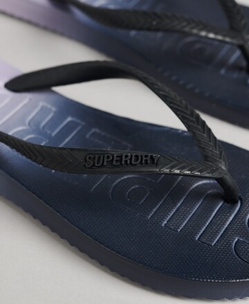 Claquettes / Tongs Superdry en bleu