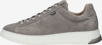 SANSIBAR Sneakers in Grey