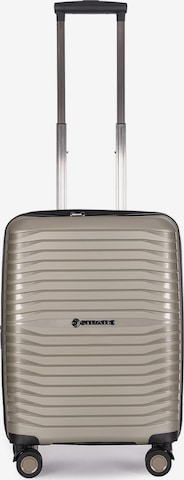 Stratic Trolley in Grijs: voorkant