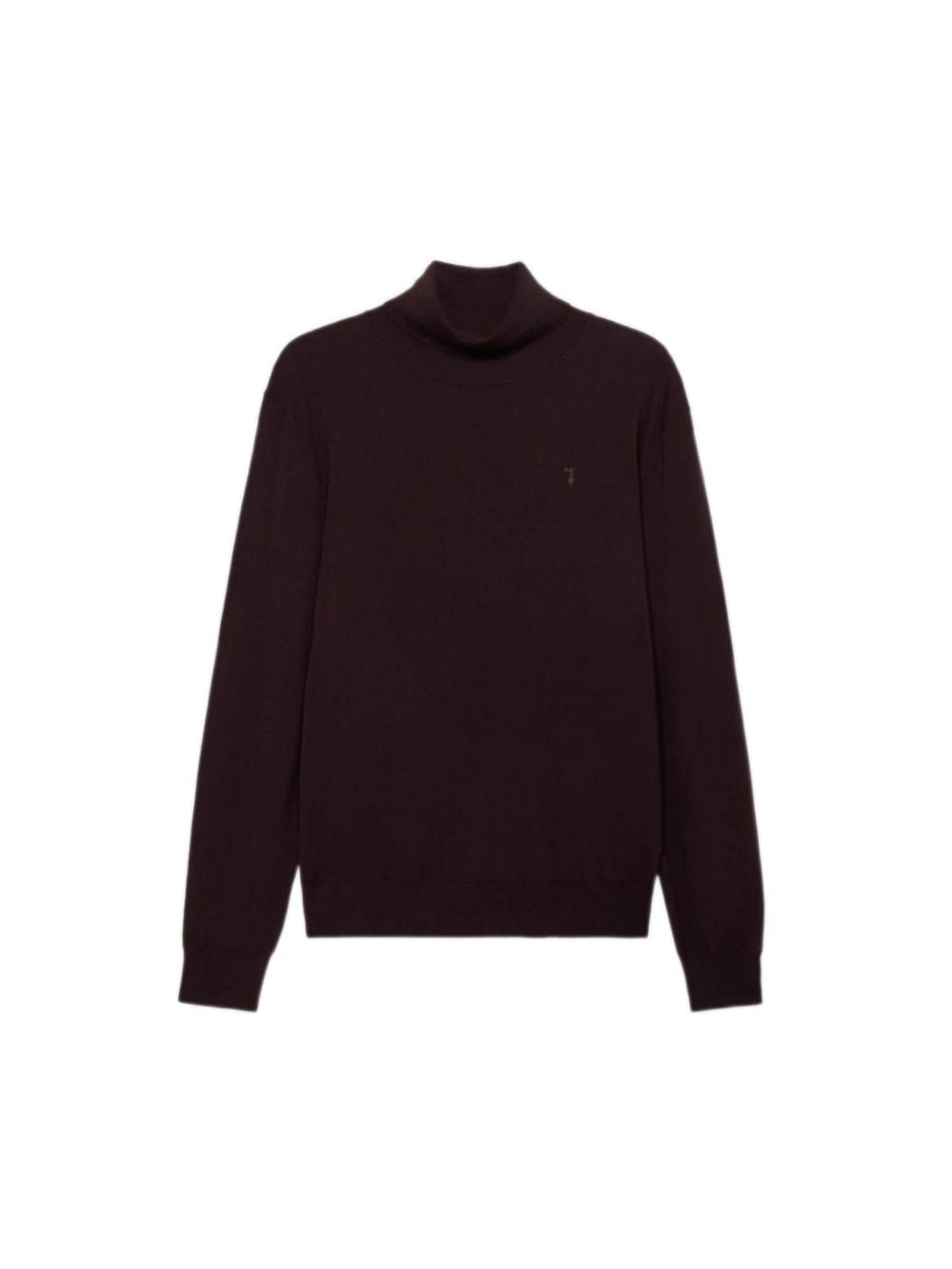 Trussardi Pullover‌‌‌‌ in Braun: Vorderseite