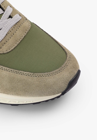 ScalpersNiske tenisice 'Harry' - zelena boja