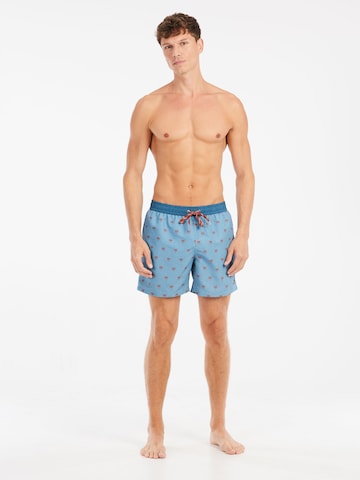 PROTEST Badeshorts 'PRTParco' in Blau