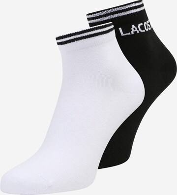 LACOSTE Socks in Black: front