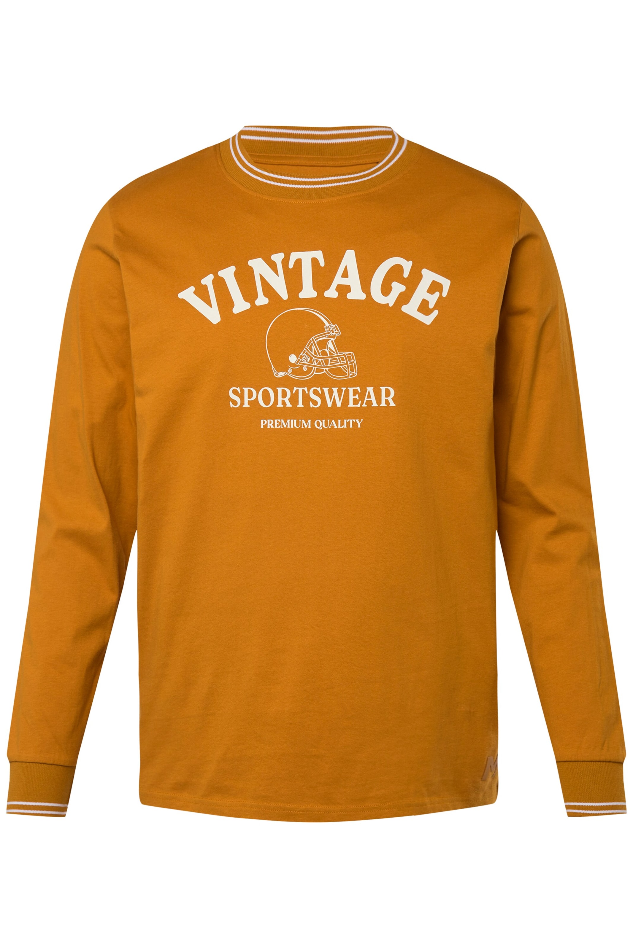 Men Plus Shirt in Orange: front