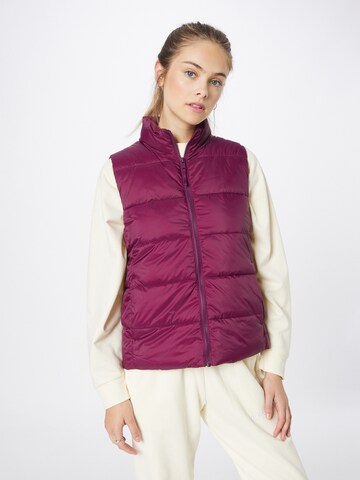 GAP Vest in Purple: front