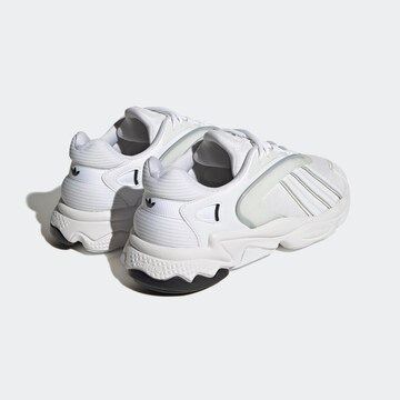 Baskets basses 'Oztral' ADIDAS ORIGINALS en blanc