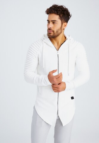 Leif Nelson Zip-Up Hoodie in Grey