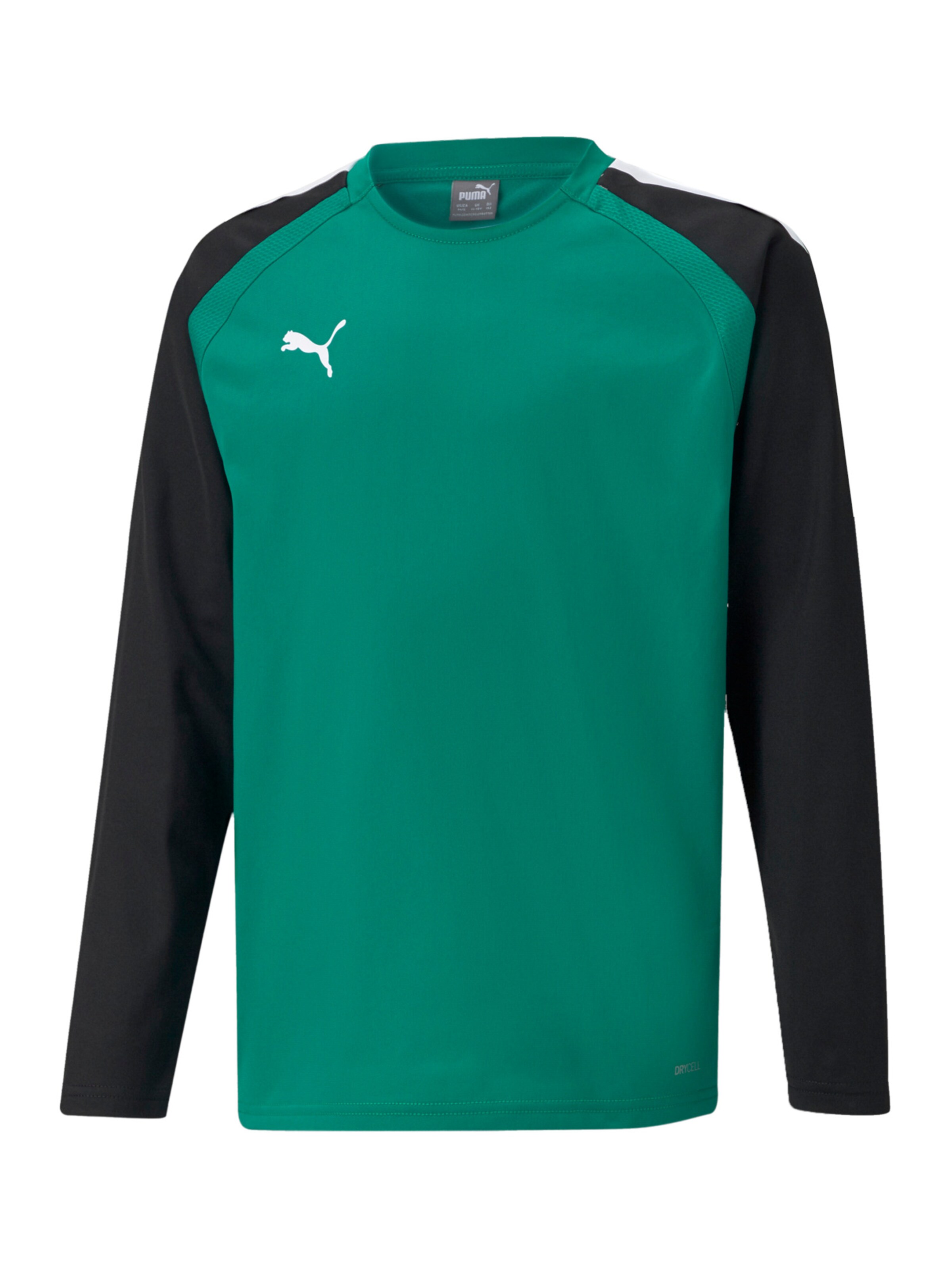 PUMA Sportsweatshirt 'TeamLiga' in Grün: Vorderseite