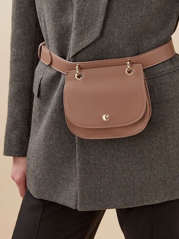 Cacharel Pouch in Brown