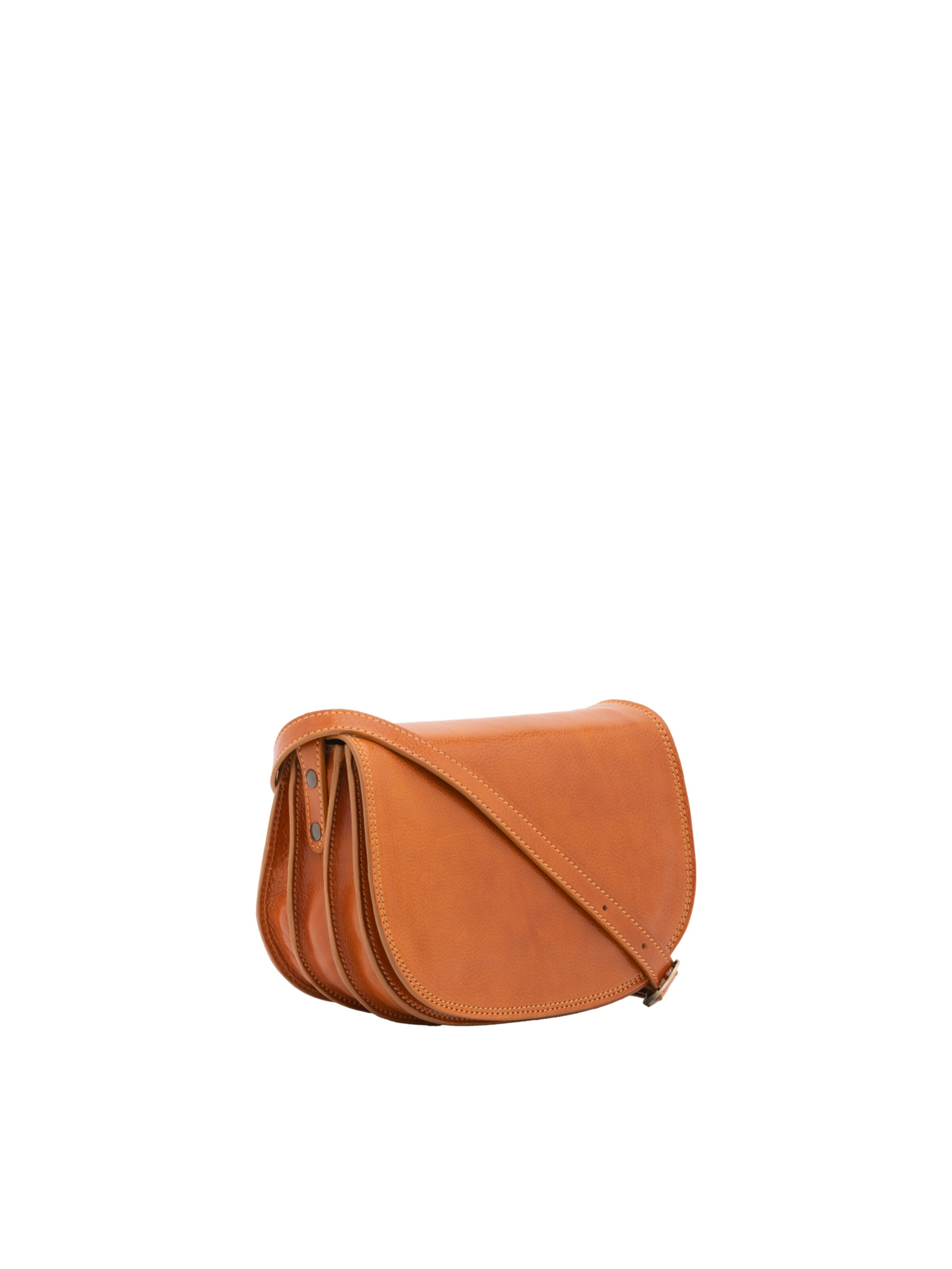 Viola Castellani Crossbody Bag in Brown: front