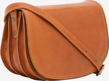 Viola Castellani Crossbody Bag in Brown: front