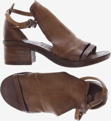 A.S.98 Sandals & High-Heeled Sandals in 40 in Brown: front