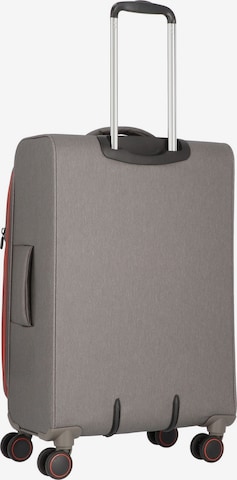 Ensemble de bagages March15 Trading en gris