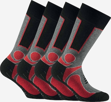 Chaussettes de sport Rohner Basic en mélange de couleurs : devant