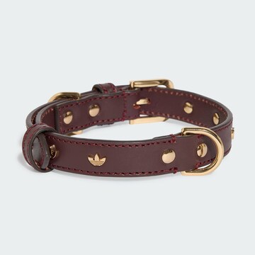 ADIDAS ORIGINALS - Acessórios para animais 'PET' em vermelho
