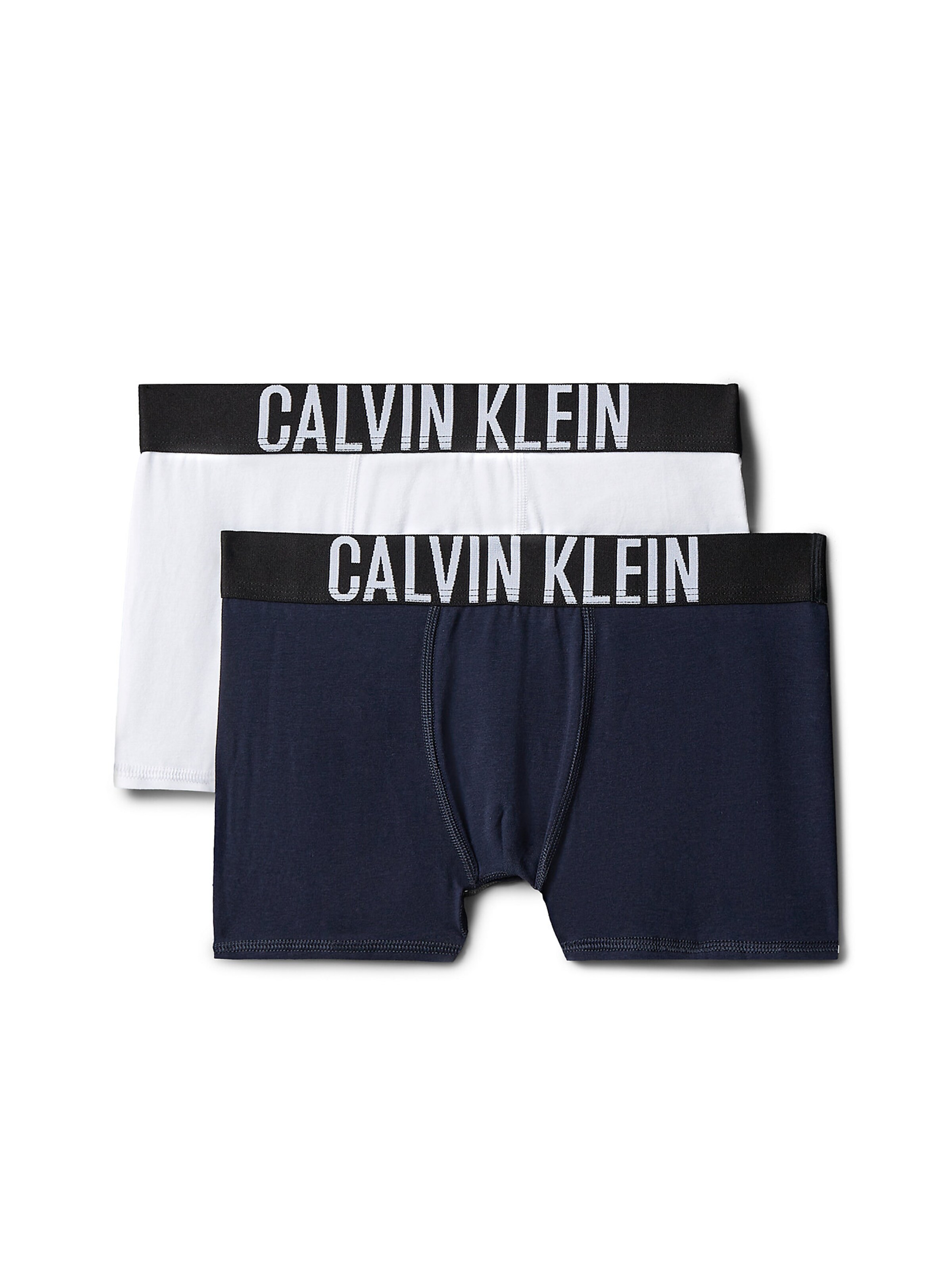 Regular Sous-vêtements 'Intense Power' Calvin Klein Underwear en bleu : devant