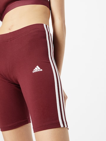 ADIDAS SPORTSWEAR Slim fit Workout Pants 'Essentials' in Red