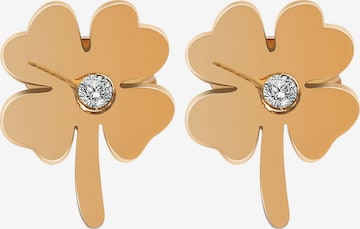 Akzent Earrings 'Dayna, langlebig' in Gold: front