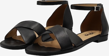 usha BLUE LABEL Strap Sandals in Black