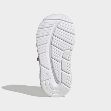 ADIDAS SPORTSWEAR Sneakers in Pink