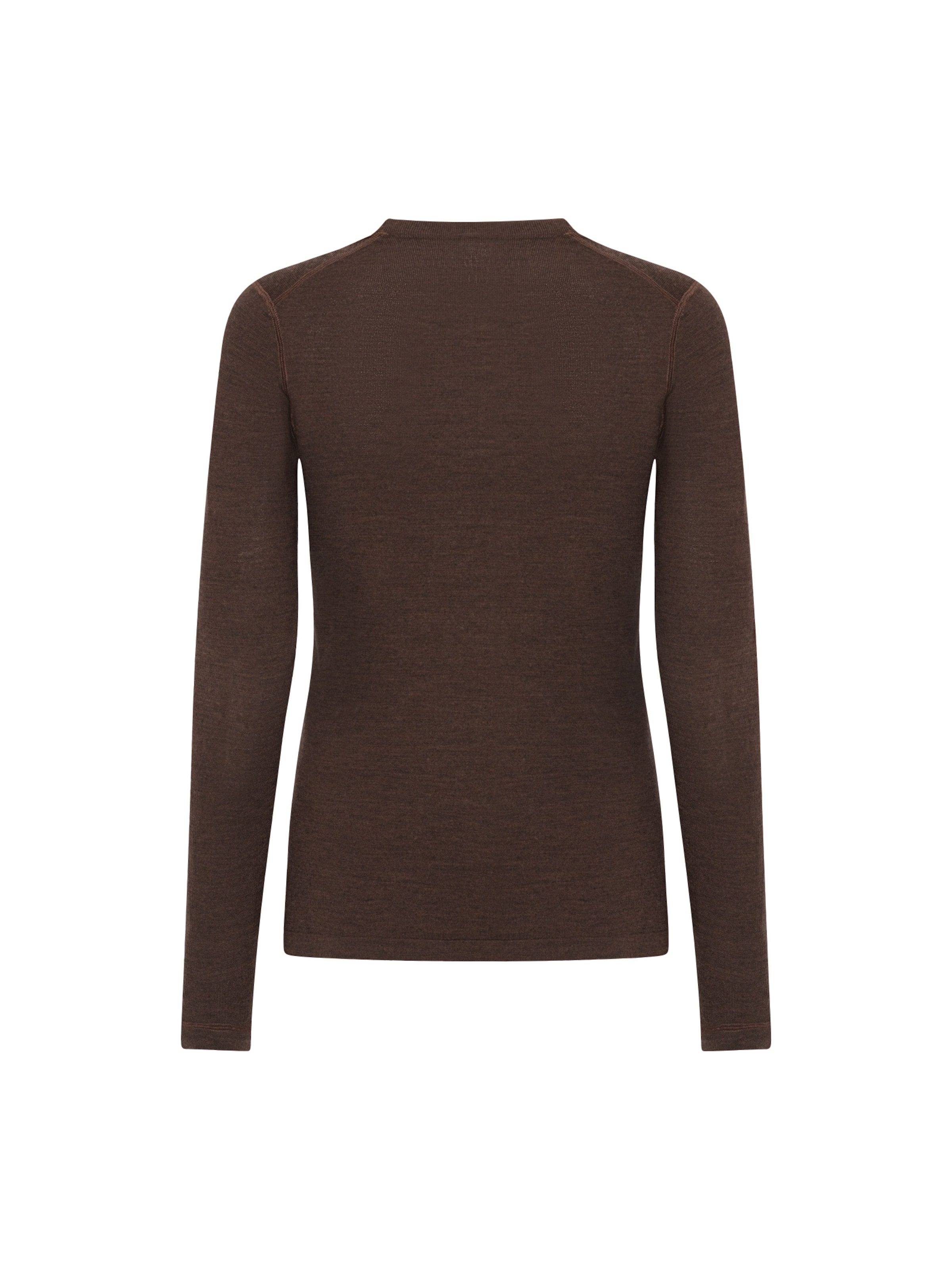 DANISH ENDURANCE Functioneel shirt 'Core Merino Baselayer' in Bruin