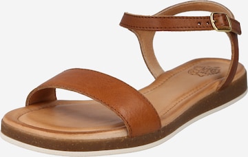 Apple of Eden Strap Sandals 'Isa' in Brown: front