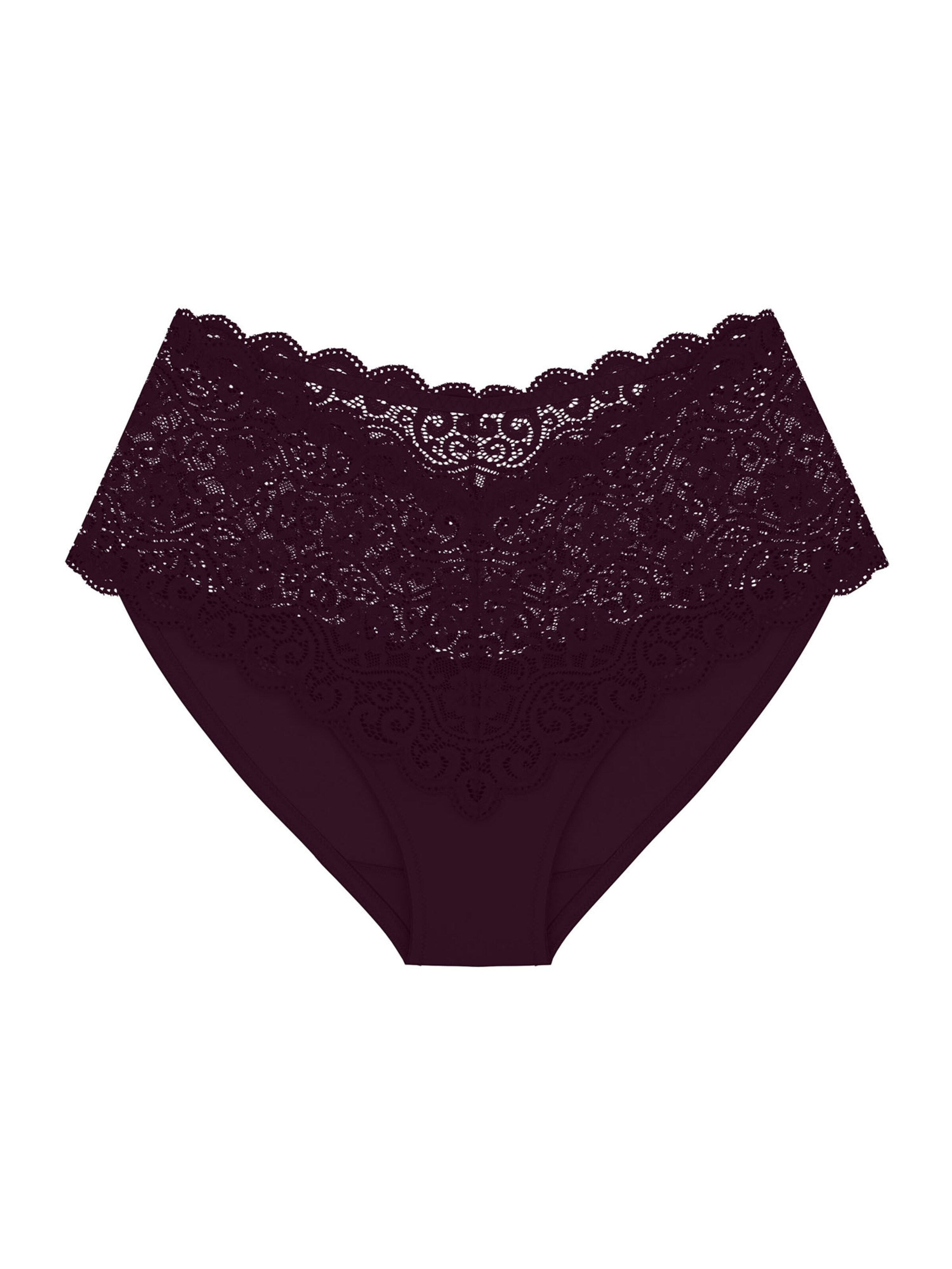 TRIUMPH Panty ' Red Label Amourette ' in Brown: front