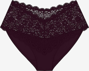 TRIUMPH Panty ' Red Label Amourette ' in Brown: front