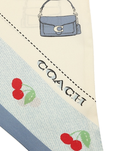 COACH Shawl in Blue