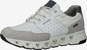 IGI&CO Sneakers in Grey: front