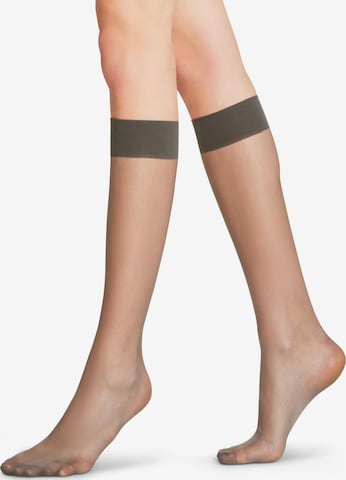 FALKE Knee High Socks 'Seidenglatt' in Grey: front
