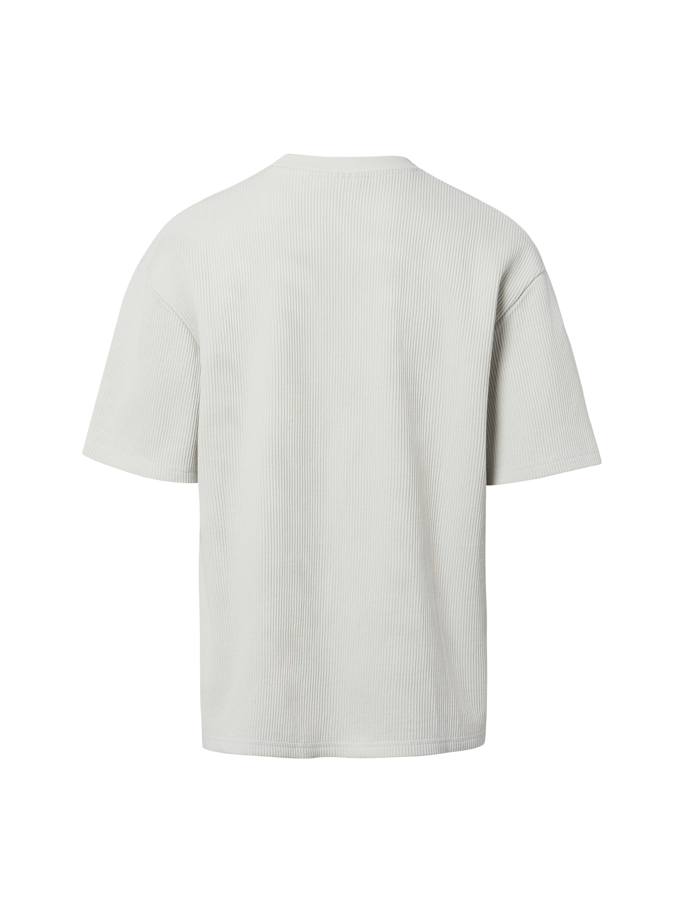 Pegador Shirt in Grau
