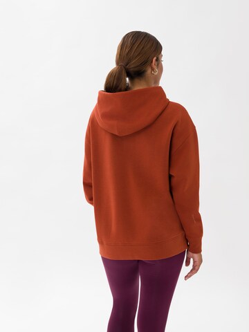 Les Lunes Sweatshirt 'Elzaa' in Braun