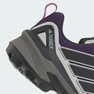 ADIDAS TERREX Lågsko 'Skychaser' i lila