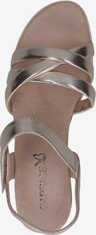 CAPRICE Sandalen met riem in Bruin