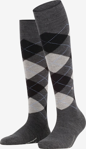 BURLINGTON Over the Knee Socks 'Marylebone' in Grey: front