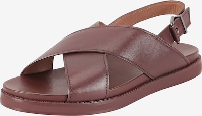 Ekonika Sandalen in braun, Produktansicht