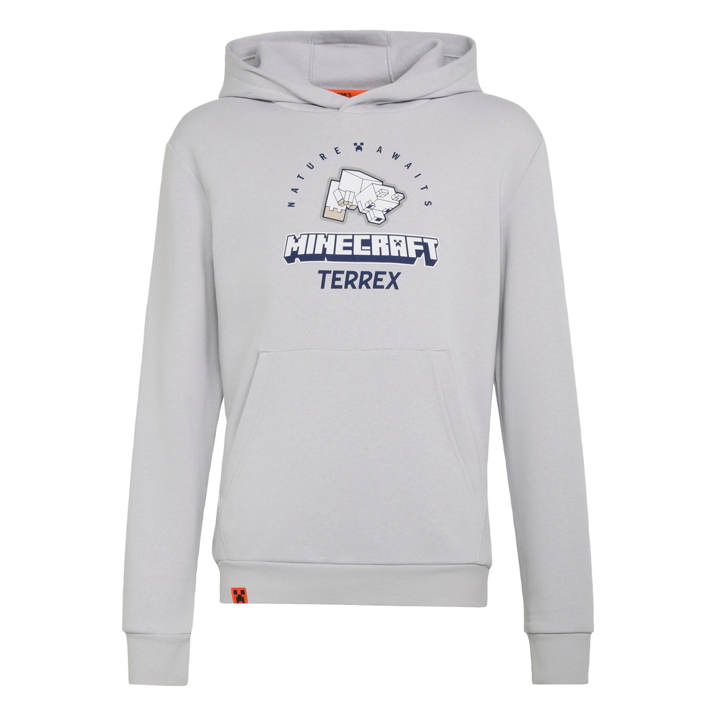 ADIDAS TERREX Sportsweatshirt 'Adidas x Minecraft' in Grau: Vorderseite