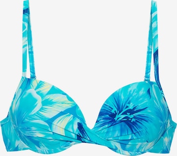 s.Oliver Push-up Bikinitop in Blau: Vorderseite