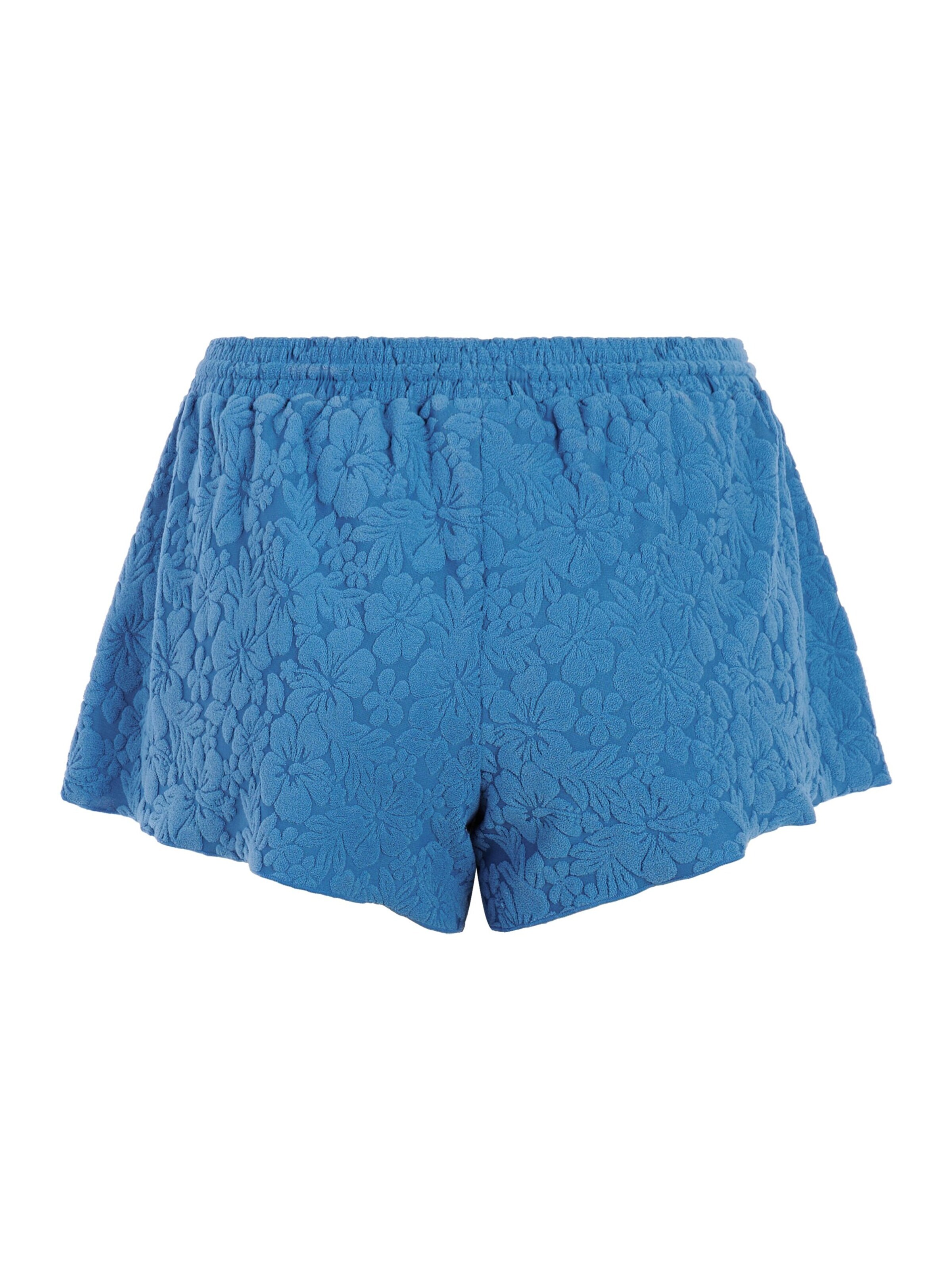 PROTEST Board shorts 'PRTMaritza' in Blue
