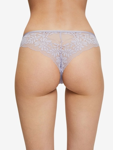 ESPRIT String i lilla