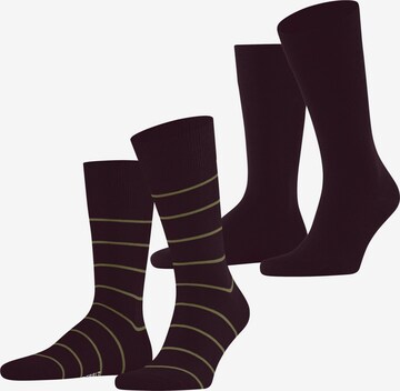 ESPRIT Socks 'Modern Stripe 2-Pack' in Red: front