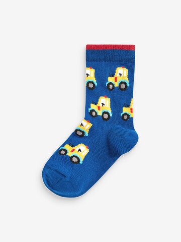 Next Socks '7er-Pack' in Mixed colors
