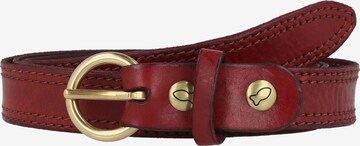 Campomaggi Belt in Red: front