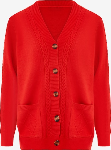 ALARY Gebreid vest in Rood: voorkant